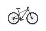 Bicicleta Focus Whistler 3.6 29DI 29 Gri - L(46cm)
