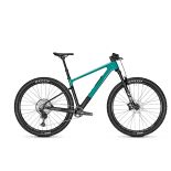 Bicicleta Focus Raven 8.8 29 Bluegreen/CarbonRaw glossy - L(48cm)