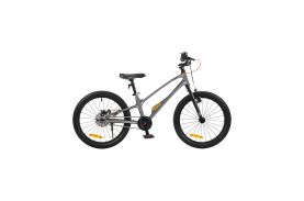 Bicicleta Royal Baby EZ Space Shark 18 Grey