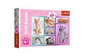 Puzzle trefl 60 pisicute dragute