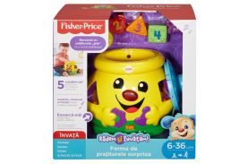 Surpriza formelor de biscuiti limba romana fisher price