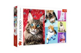Puzzle trefl 1000 pisicute fericite