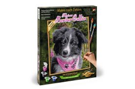 Kit pictura pe numere schipper catelus border collie