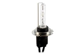 Bec Auto Xenon CARGUARD H7 6000K