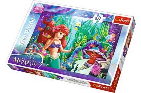 Puzzle trefl 100 ascunselea intre prieteni