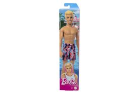 Barbie papusa ken la plaja