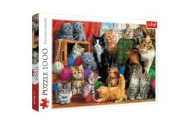 puzzle trefl 1000 intalnirea pisicutelor