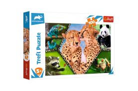Puzzle trefl 100 natura frumoasa