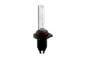 Bec Xenon H10-4300K - CARGUARD