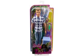 Barbie papusa ken la picnic