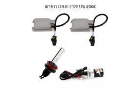 H11 CAN-BUS 12V 35W 4300K