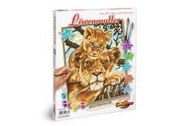 Kit pictura pe numere schipper leusori