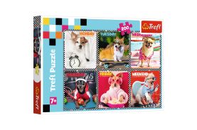 Puzzle trefl 200 cateii fericiti