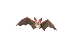 Papo figurina liliac