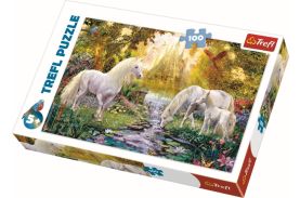 Puzzle trefl 100 gradina secreta