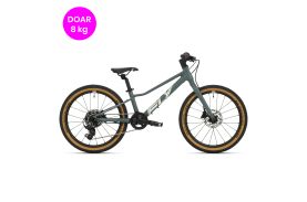 Bicicleta Superior FLY 20 DB Matte Trooper Green/Hologram Chrome