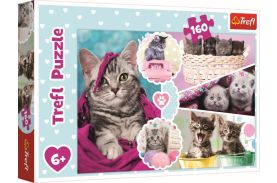Puzzle trefl 160 pisici dragalase