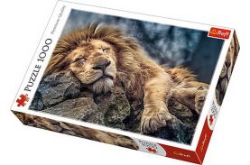 Puzzle trefl 1000 leu dormind