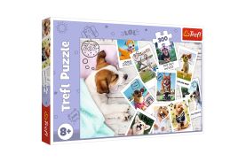 Puzzle trefl 300 poze din vacanta