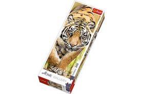 Puzzle trefl panorama 300 tigru