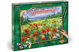 Kit pictura pe numere schipper camp inflorit