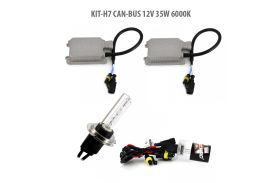 H7 CAN-BUS 12V 55W 6000K