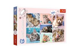 Puzzle trefl 100 in lumea pisicilor