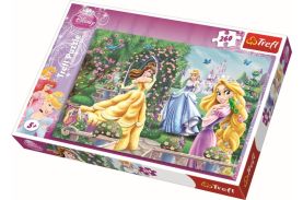 Puzzle trefl 260 plimbare inaintea balului
