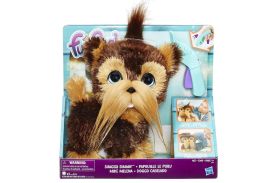 Catelul shaggy shawn