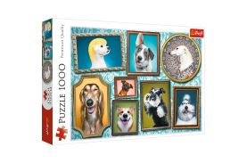 Puzzle trefl 1000 galeria cateilor