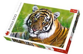 Puzzle trefl 500 tigru