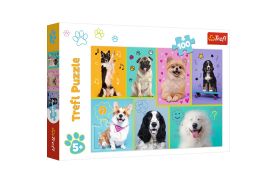 Puzzle trefl 100 in lumea cateilor