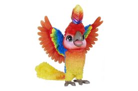 Papagalul vorbitor rock a too