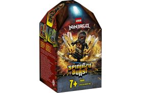 Lego ninjago spinjitzu burst cole 70685